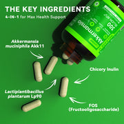 Akkermansia Probiotics: Enhancing Gut Barrier, Metabolic Health & Weight Management