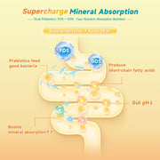 Liquid Fortified Calcium Magnesium Zinc